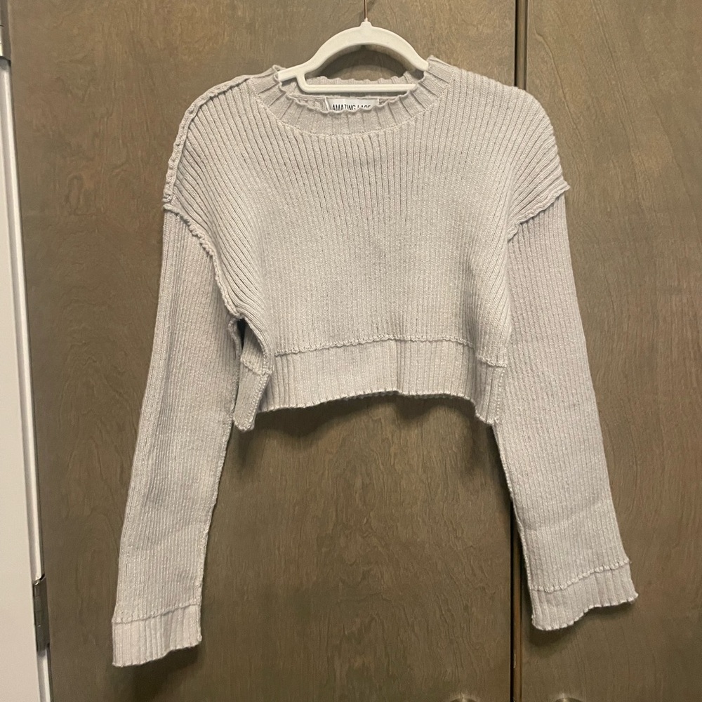 Vici light gray cropped sweater